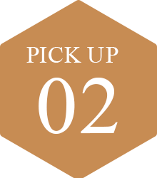 PICK UP 02