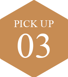 PICK UP 03